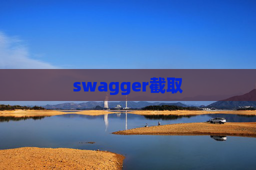swagger截取